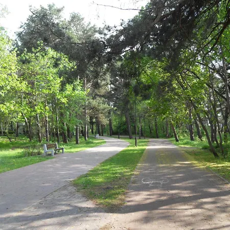 Bursztyn, Perla Nad Morzem *