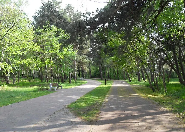 Bursztyn, Perla Nad Morzem *